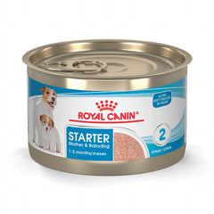 Royal Canin Starter Mousse 195 g (6.8 oz) | Alimento Húmedo para Cachorros en Destete