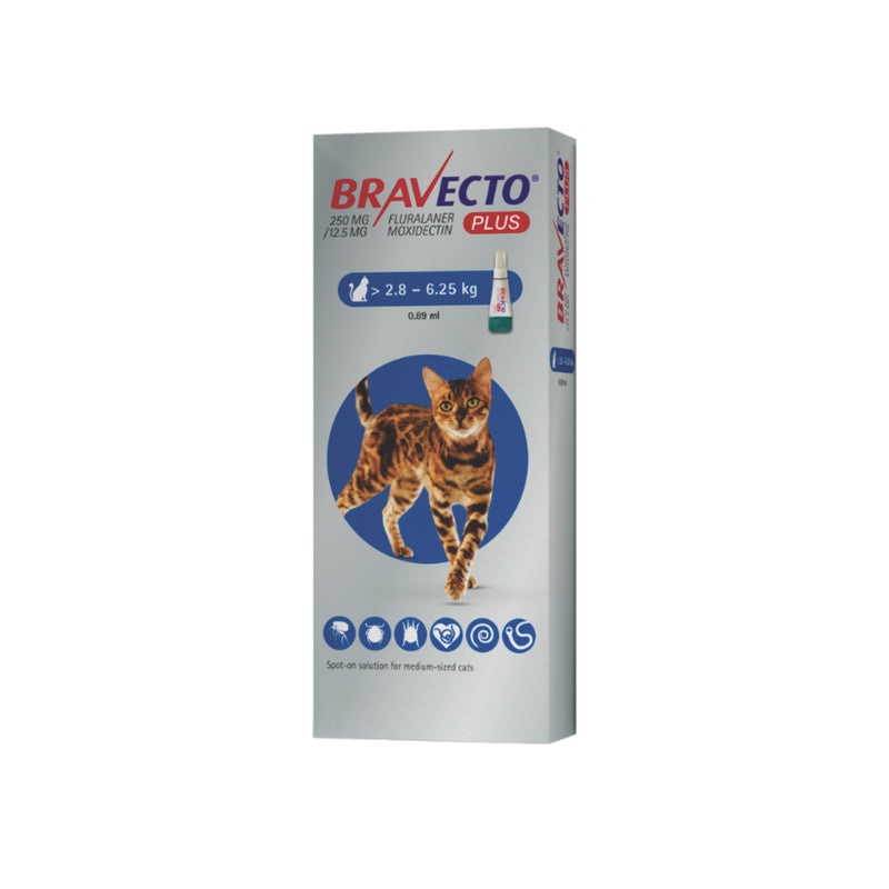 Bravecto Plus Gatos 250 mg (2.8-6.25 kg / 6.1-13.7 lb) | Antiparasitario para Gatos