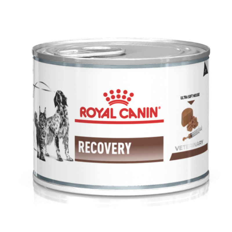Royal Canin Recovery Wet Food Dog & Cat 195 g (6.9 oz) | Alimento Húmedo de Recuperación para Perros y Gatos