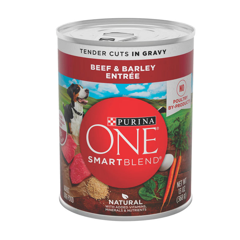 Purina ONE Wet Cuts in Gravy Beef & Barley 368 g (13 oz) | Alimento Húmedo para Perros con Carne y Cebada Salsa